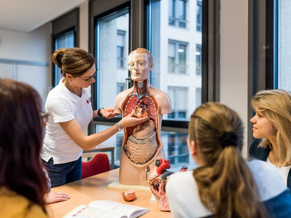Eine Ausbilderin zeigt den Schülerinnen am Torso-Modell den Aufbau und die Funktionsweise des menschlichen Körpers.